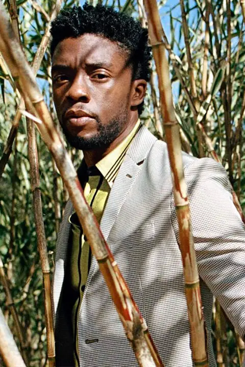 Chadwick Boseman is standing behind the sugarcane and wearing grey pent coat.